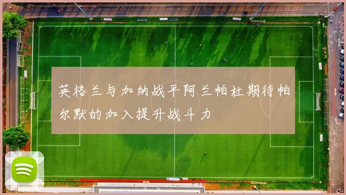 英格兰与加纳战平阿兰帕杜期待帕尔默的加入提升战斗力